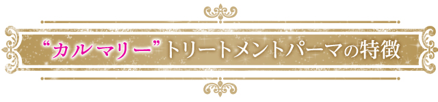 カルマリートリートメントパーマの特徴