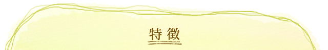 特徴