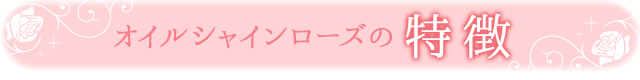 オイルシャインローズの特徴