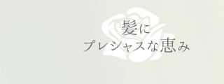 髪にプレシャスな恵み
